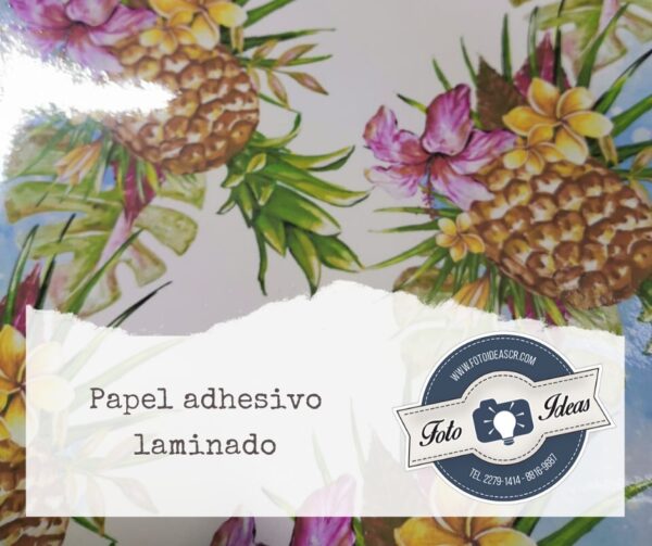 Papel adhesivo laminado impreso